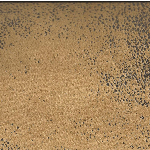GOBI 01 (kangas)