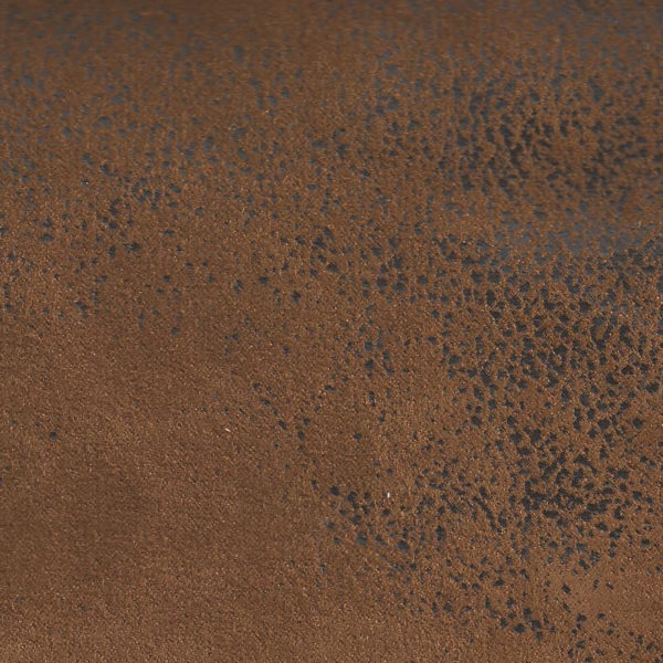 GOBI 02 (kangas)
