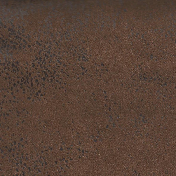 GOBI 03 (kangas)